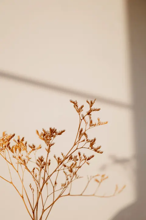 Golden Hour Phone Wallpaper · aesthetic · 1440×2160