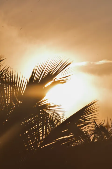 Golden Hour Phone Wallpaper · aesthetic · 1440×2160