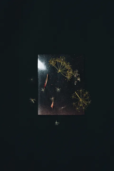 Film Aesthetic Phone Wallpaper · aesthetic · 1440×2157