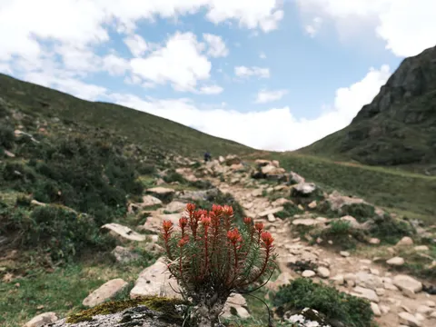 Mountain Trail 4K Wallpaper · mountains · 3840×2882