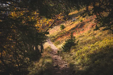 Mountain Trail 4K Wallpaper · mountains · 3840×2560