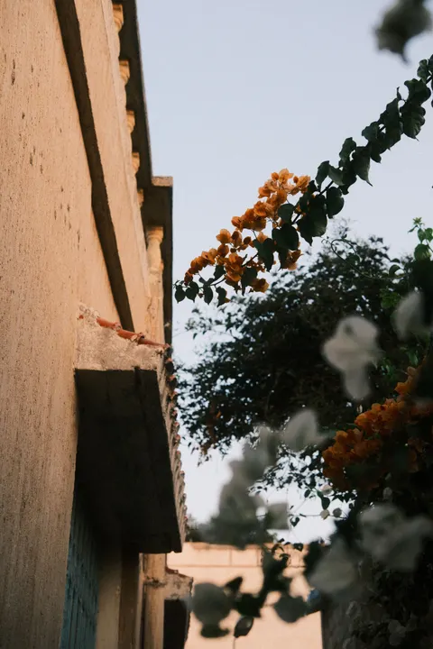 Film Aesthetic Phone Wallpaper · aesthetic · 1440×2160