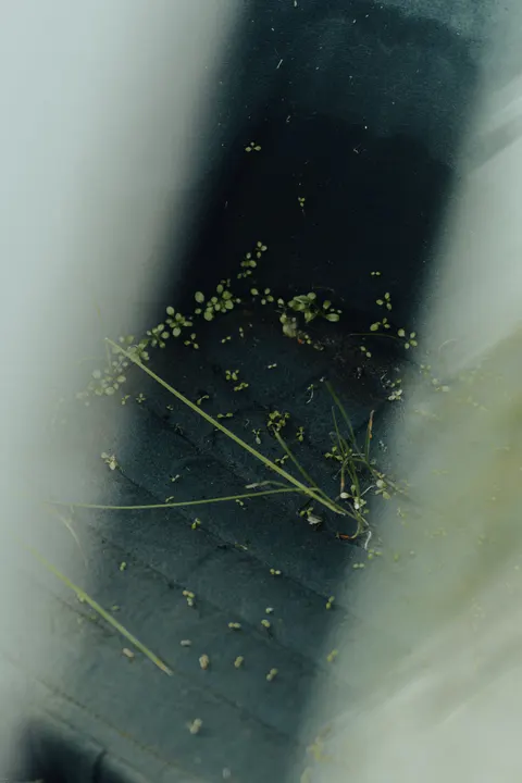 Film Aesthetic Phone Wallpaper · aesthetic · 1440×2160