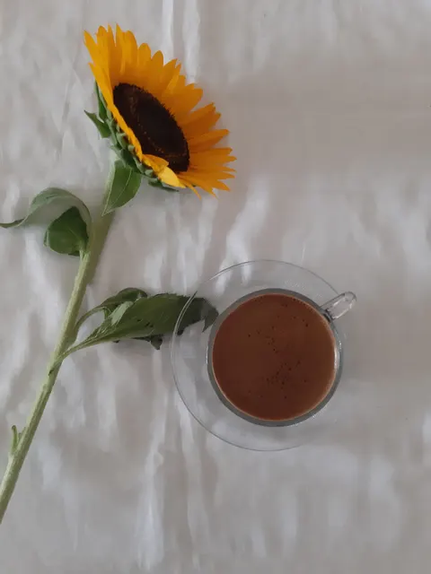 Soft Still Life Phone Wallpaper · aesthetic · 1440×1920