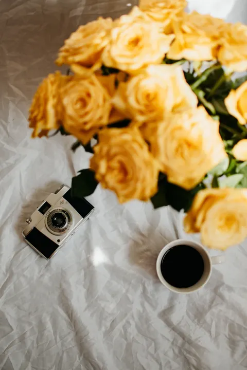 Soft Still Life Phone Wallpaper · aesthetic · 1440×2160