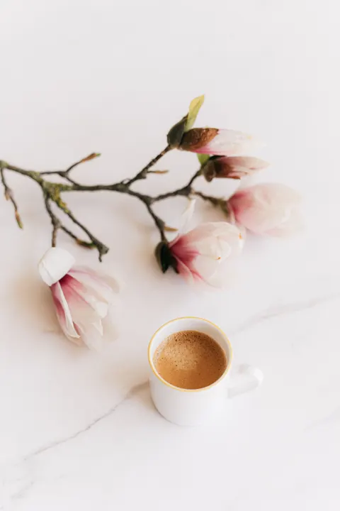 Soft Still Life Phone Wallpaper · aesthetic · 1440×2160