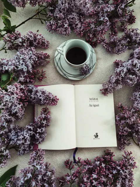 Soft Still Life Phone Wallpaper · aesthetic · 1440×1920