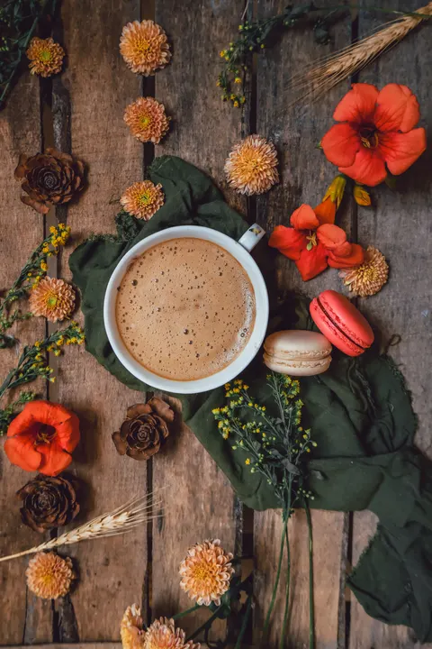 Soft Still Life Phone Wallpaper · aesthetic · 1440×2160