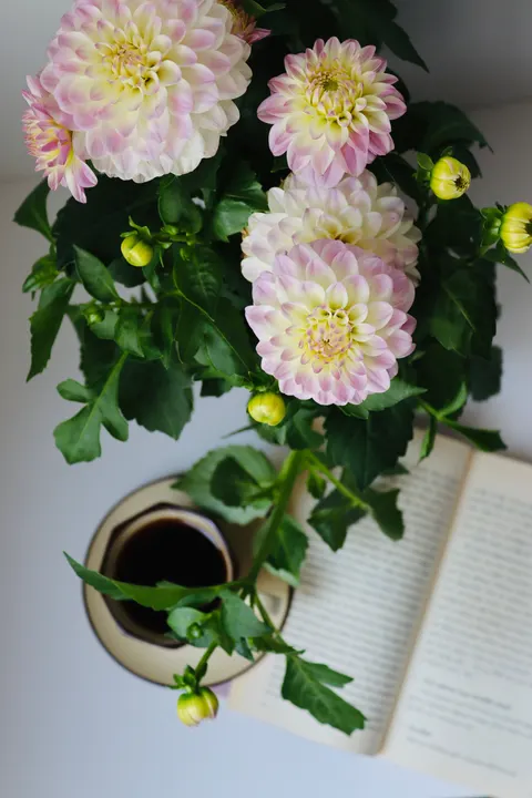 Soft Still Life Phone Wallpaper · aesthetic · 1440×2160