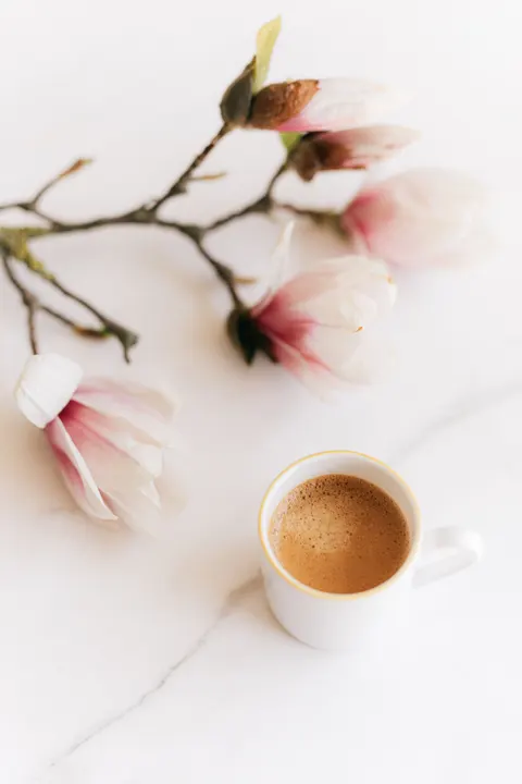 Soft Still Life Phone Wallpaper · aesthetic · 1440×2160