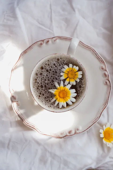 Soft Still Life Phone Wallpaper · aesthetic · 1440×2160