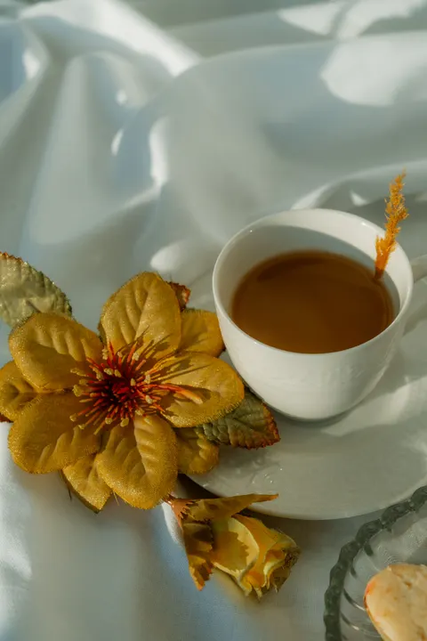 Soft Still Life Phone Wallpaper · aesthetic · 1440×2160
