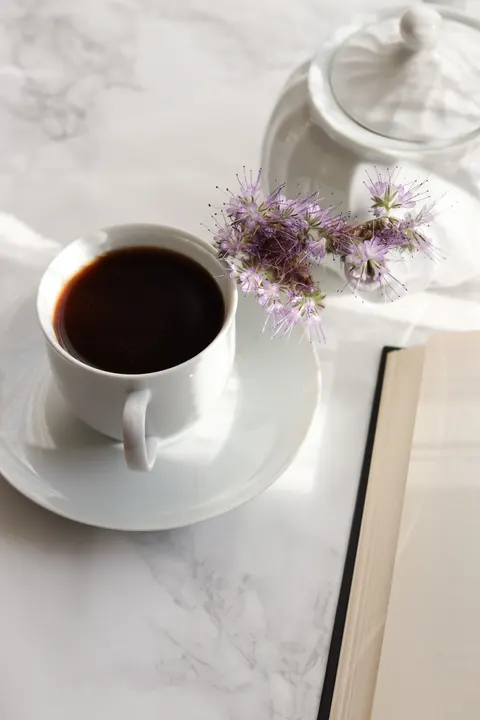 Soft Still Life Phone Wallpaper · aesthetic · 1440×2160