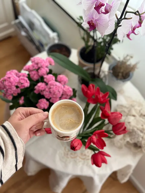 Soft Still Life Phone Wallpaper · aesthetic · 1440×1920