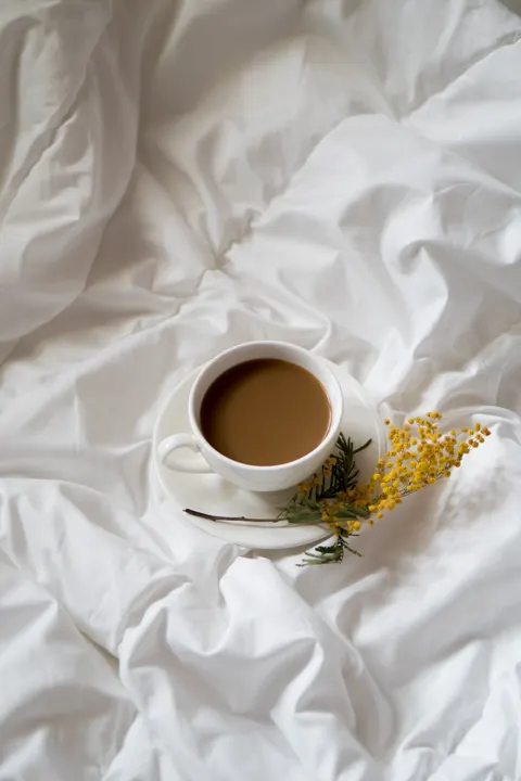 Soft Still Life Phone Wallpaper · aesthetic · 1440×2160