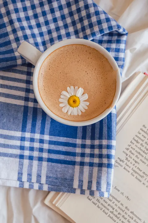 Soft Still Life Phone Wallpaper · aesthetic · 1440×2160