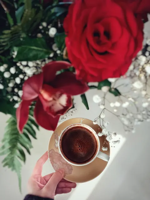 Soft Still Life Phone Wallpaper · aesthetic · 1440×1920