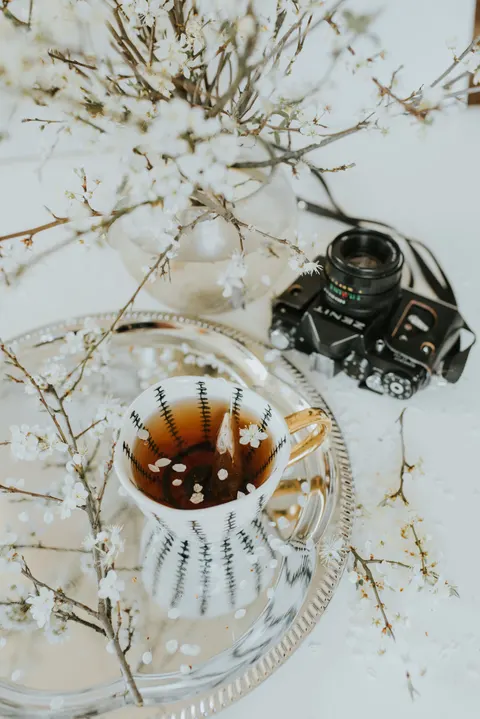 Soft Still Life Phone Wallpaper · aesthetic · 1440×2157
