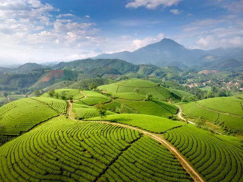 绿色山丘 4K壁纸 · nature · 3840×2880