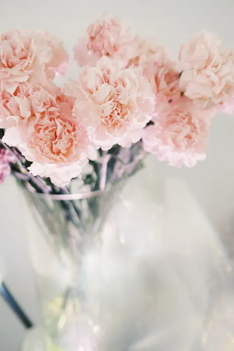 Soft Bloom Phone Wallpaper · aesthetic · 1440×2160