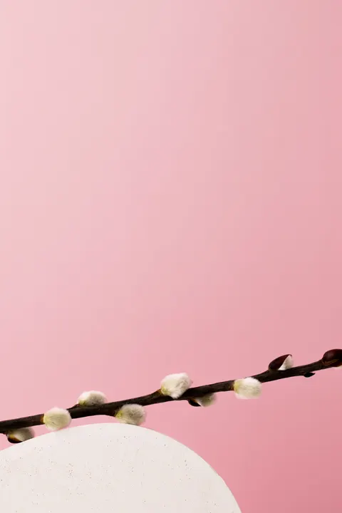 Soft Bloom Phone Wallpaper · aesthetic · 1440×2160