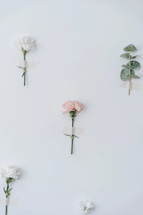 Soft Bloom Phone Wallpaper · aesthetic · 1440×2160