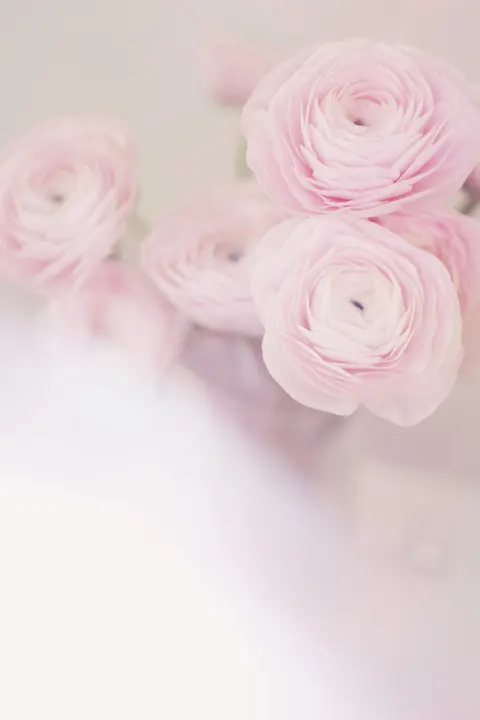 Soft Bloom Phone Wallpaper · aesthetic · 1440×2160
