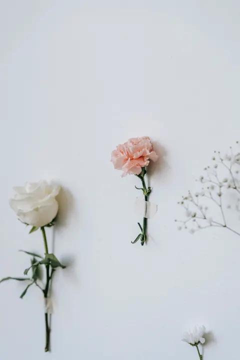 Soft Bloom Phone Wallpaper · aesthetic · 1440×2160
