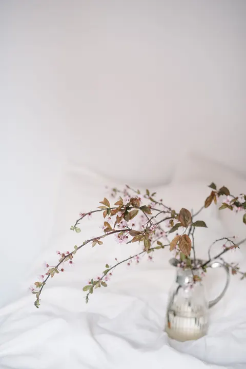 Soft Bloom Phone Wallpaper · aesthetic · 1440×2157