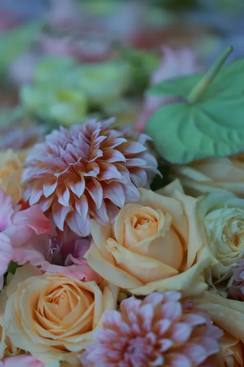 Soft Bloom Phone Wallpaper · aesthetic · 1440×2160