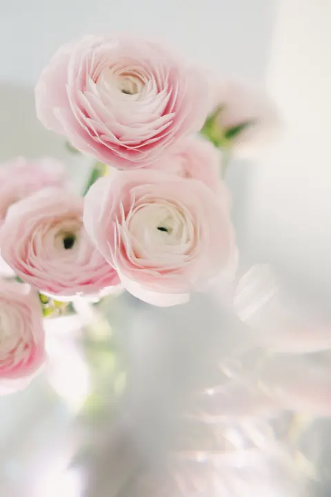 Soft Bloom Phone Wallpaper · aesthetic · 1440×2160