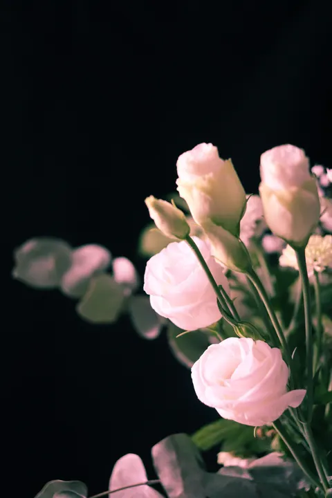 Soft Bloom Phone Wallpaper · aesthetic · 1440×2160