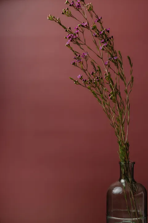 Soft Bloom Phone Wallpaper · aesthetic · 1440×2160