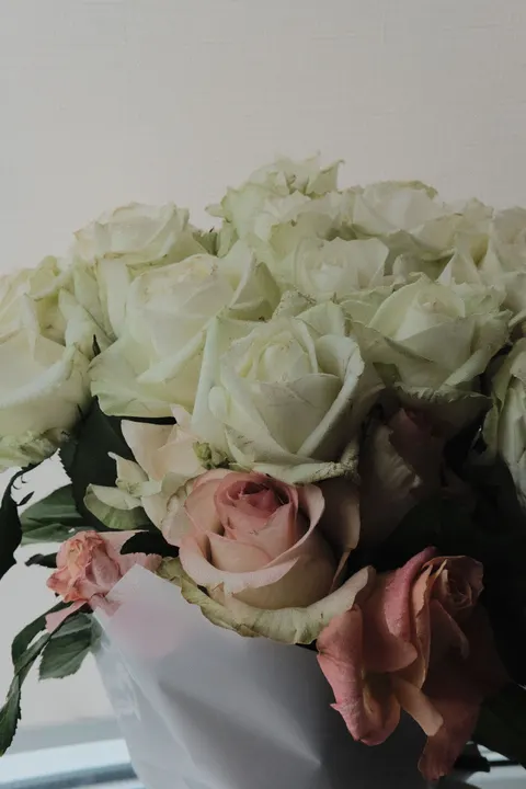 Soft Bloom Phone Wallpaper · aesthetic · 1440×2160