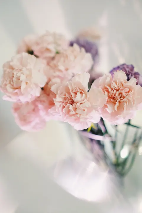 Soft Bloom Phone Wallpaper · aesthetic · 1440×2160