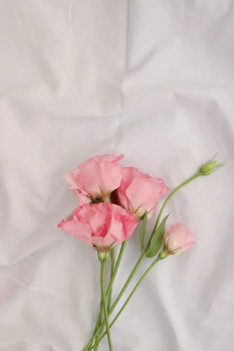 Soft Bloom Phone Wallpaper · aesthetic · 1440×2160