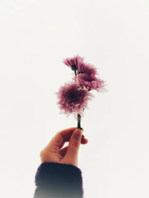 Soft Bloom Phone Wallpaper · aesthetic · 1440×1920