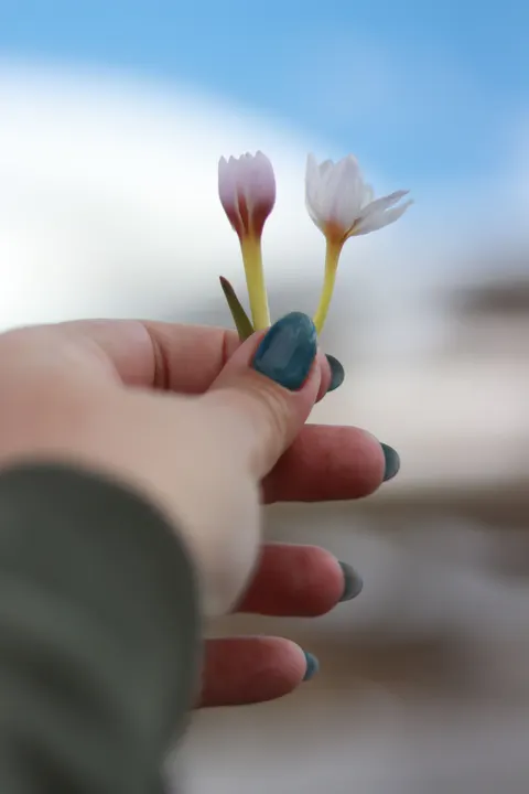 Soft Bloom Phone Wallpaper · aesthetic · 1440×2160