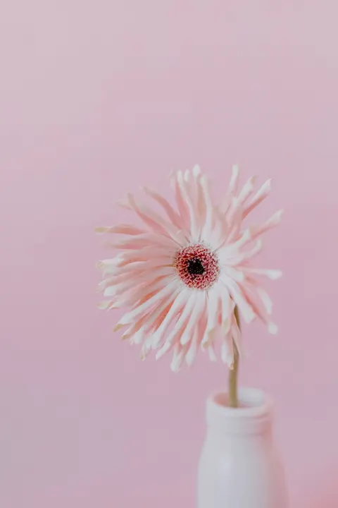 Soft Bloom Phone Wallpaper · aesthetic · 1440×2160