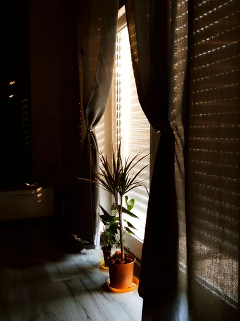 Curtain Light Phone Wallpaper · aesthetic · 1440×1920