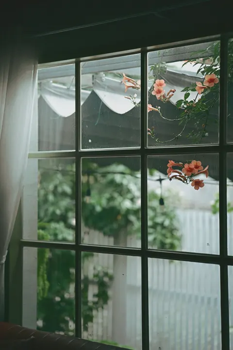 Curtain Light Phone Wallpaper · aesthetic · 1440×2160