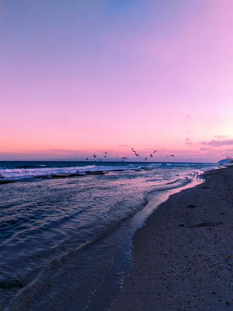 Beach Mood Phone Wallpaper · aesthetic · 1440×1920