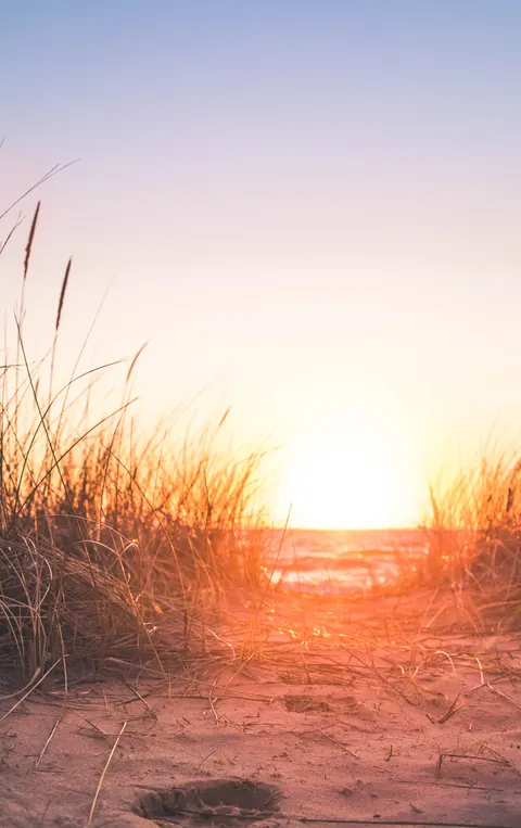 Beach Mood Phone Wallpaper · aesthetic · 1440×2288