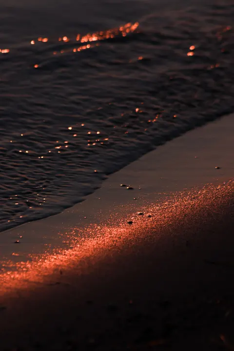Beach Mood Phone Wallpaper · aesthetic · 1440×2160