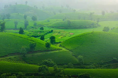 绿色山丘 4K壁纸 · nature · 3840×2563