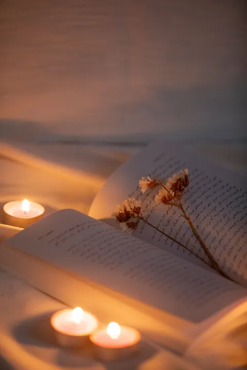 Quiet Evening Phone Wallpaper · aesthetic · 1440×2160