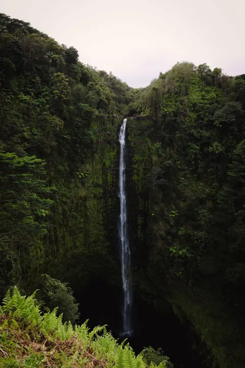Tall Waterfall Phone Wallpaper · vertical · 1440×2160