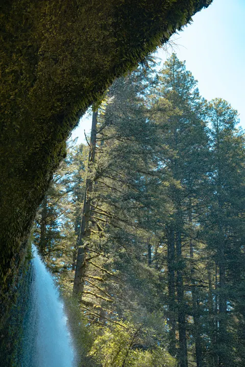 Tall Waterfall Phone Wallpaper · vertical · 1440×2160