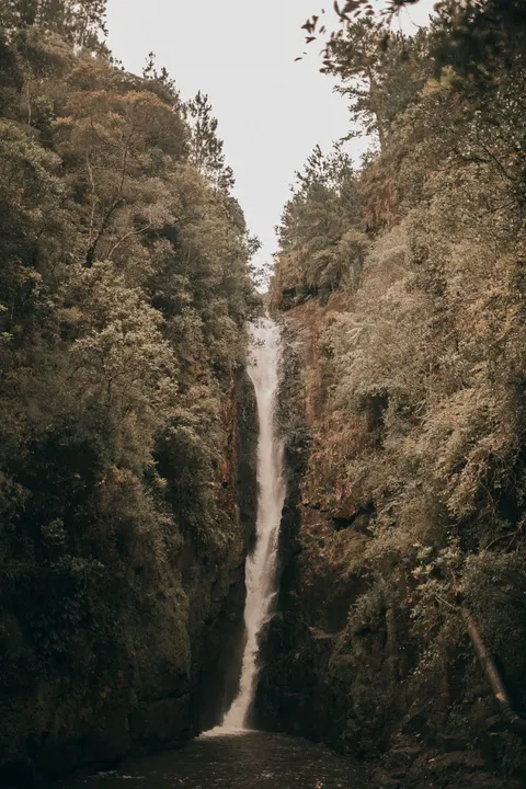 Tall Waterfall Phone Wallpaper · vertical · 1440×2160