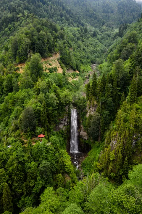 Tall Waterfall Phone Wallpaper · vertical · 1440×2160